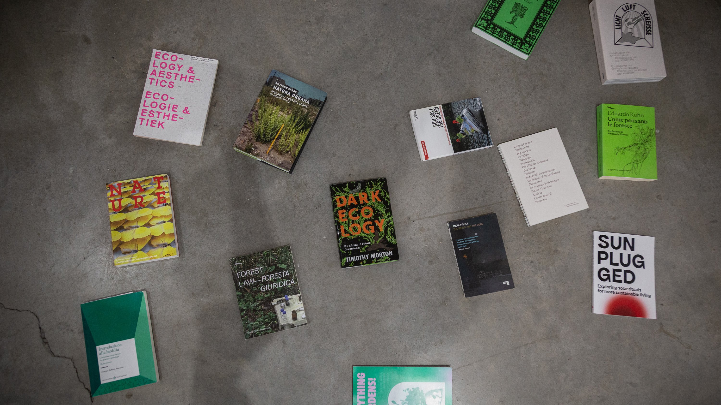 54608119123_9812cc8613_o