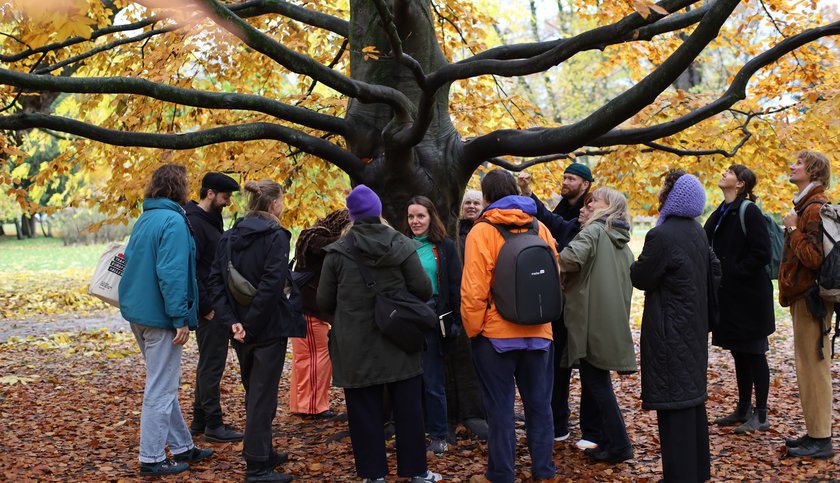 54904962357_e4852e5ef3_o