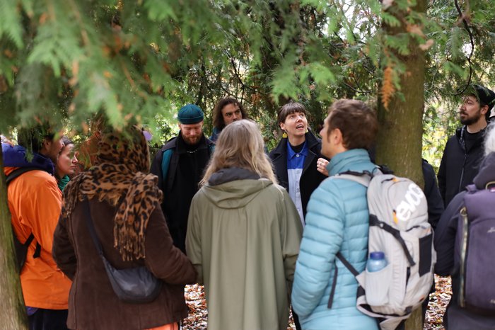 54906077044_f05f7defe6_o