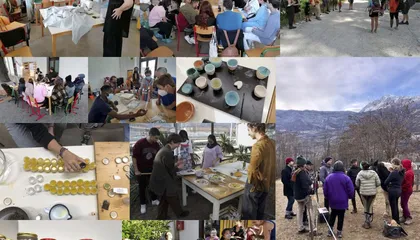 Member_La Foresta - workshops