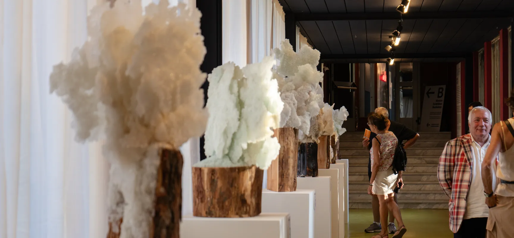 Exhibition "Galaverna"