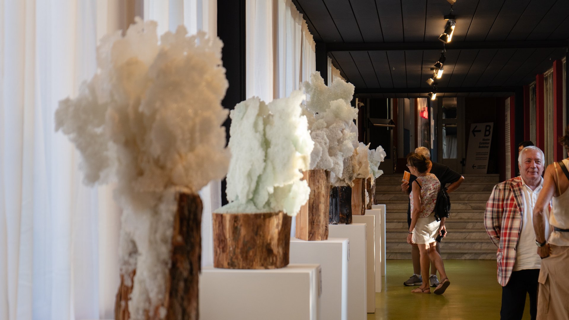 Exhibition "Galaverna"