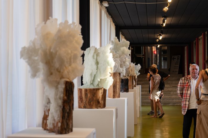 Exhibition "Galaverna"