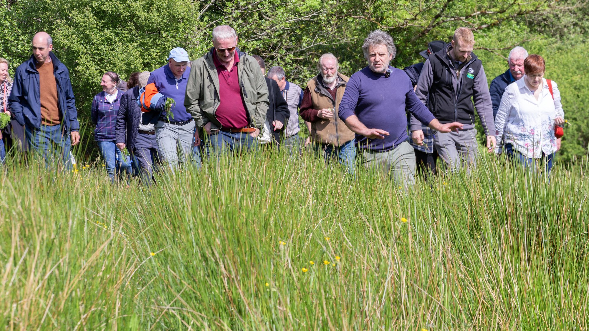 Farm Walk at Paddy McGurn's farm. Photo by Brian Farrell