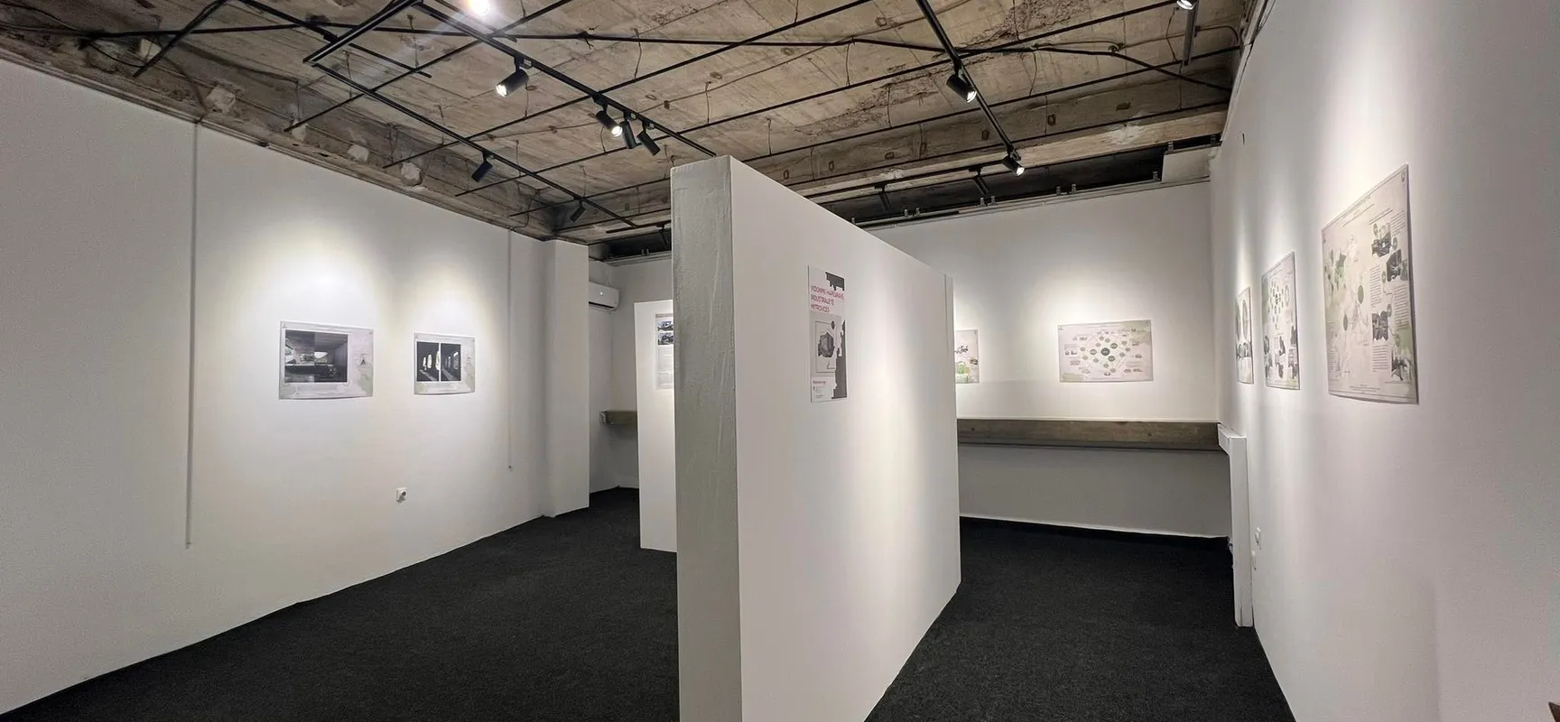 Gallery 7