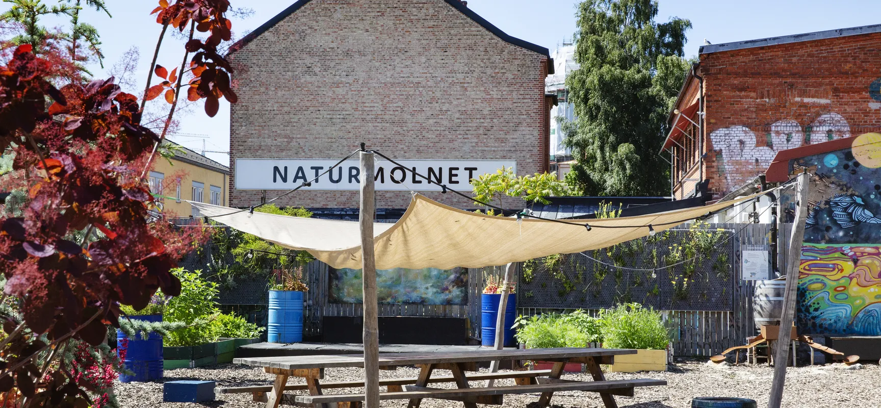naturmolnet-foto-Bojana-Lukac (4)